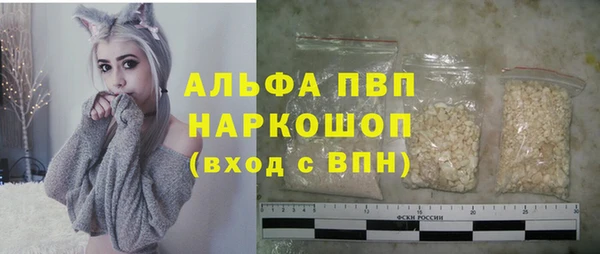 стаф Алексин
