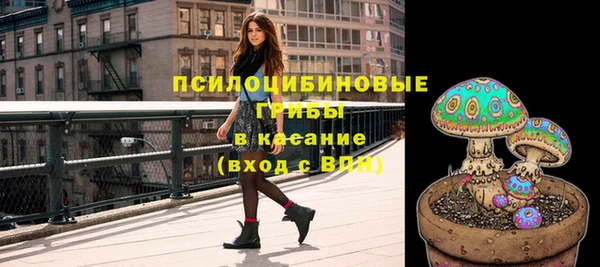 прущая мука Абаза