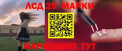 индика Можайск