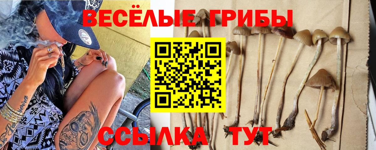 Галлюциногенные грибы Cubensis  Вход с VPN  Россошь 